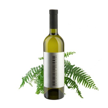 2019 Resistance Riesling