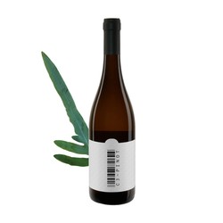 VK Merlot