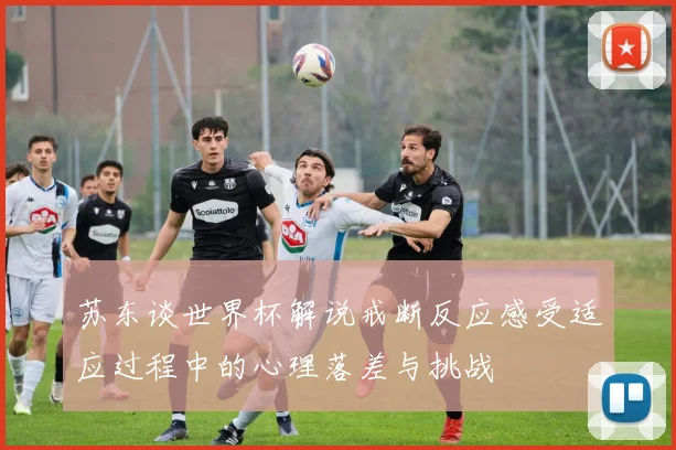 苏东谈世界杯解说戒断反应感受适应过程中的心理落差与挑战